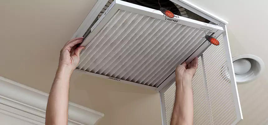 Preventive Cockroach-Proofing for Ducts in Santa Ana