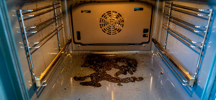 Our Dryer Vent Mold Cleaning Services in Santa Ana, CA