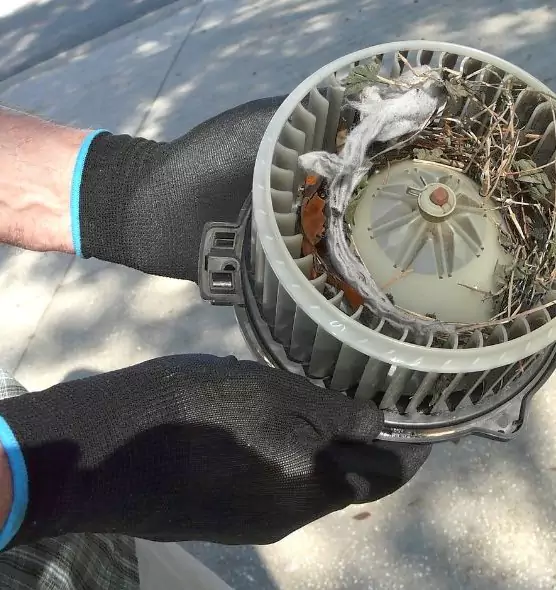 About Air Duct Mice Removal in Santa Ana, CA