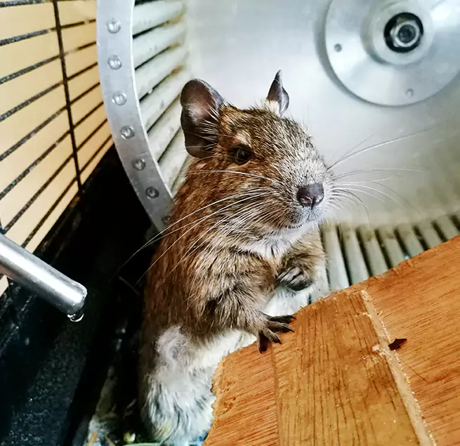 Why Homeowners & Businesses Trust Us Santa Ana, CA