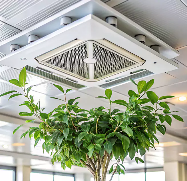 Why Homeowners & Businesses Trust Us in Santa Ana, CA