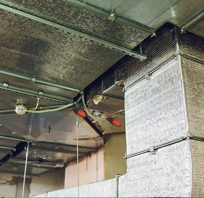 Why Homeowners & Businesses Trust Us Santa Ana, CA?