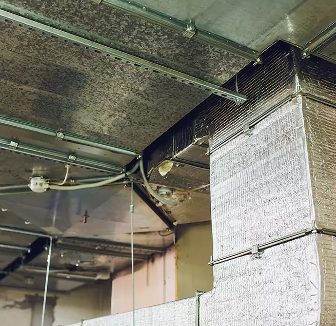 Why Homeowners & Businesses Trust Us in Santa Ana, CA?